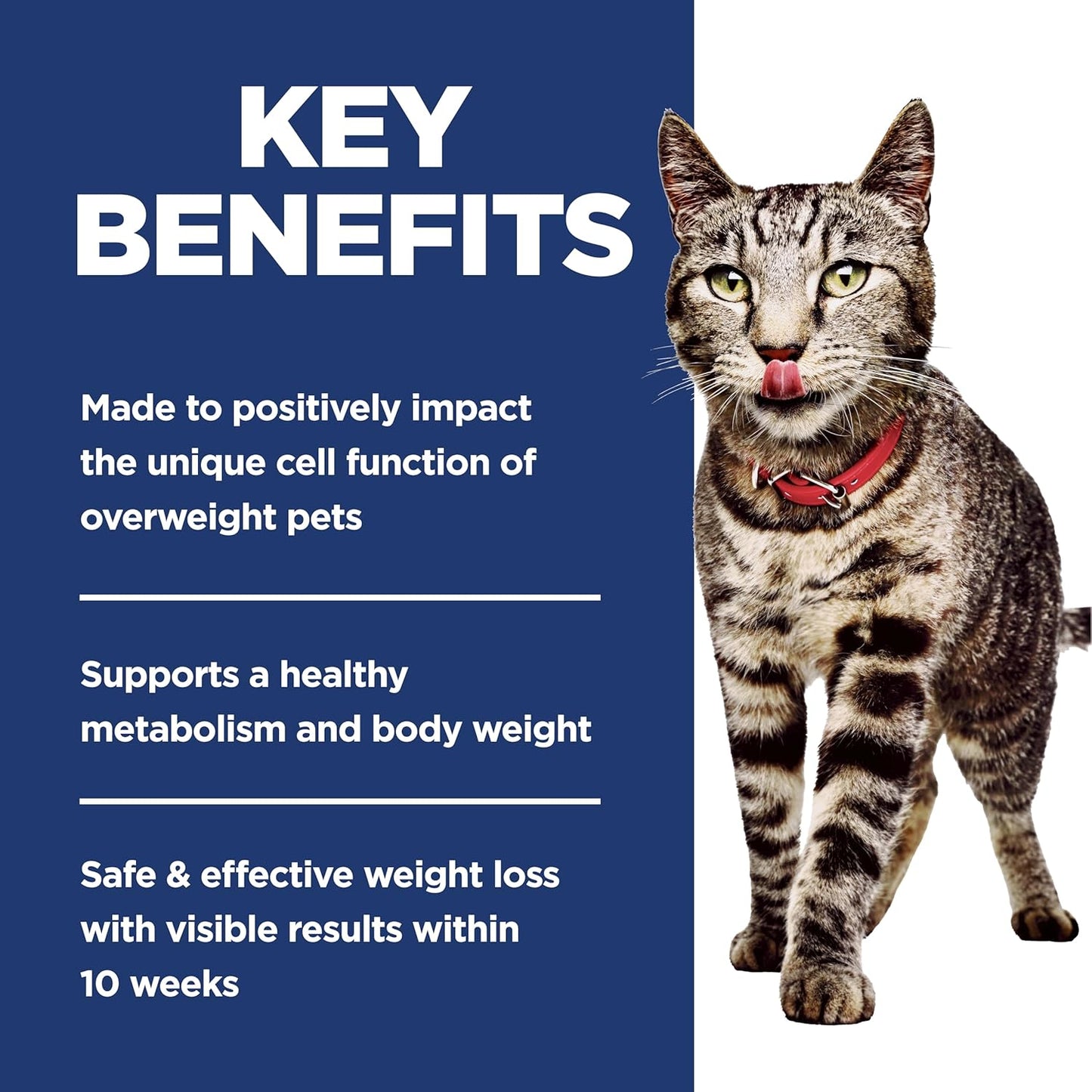 Dry Cat Food, Adult, Perfect Weight for Healthy Weight & Weight Management, Chicken Recipe, 3 Lb. Bag