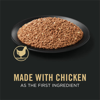 Pate Wet Puppy Food, DEVELOPMENT Chicken & Brown Rice Entree - (12) 13 Oz. Cans